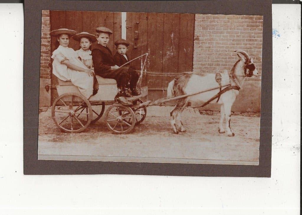 s Gravenzande Hoflaan Bokkenwagen met vier kinderen  Foto, Ophalen of Verzenden, Voor 1920, Ongelopen, Zuid-Holland