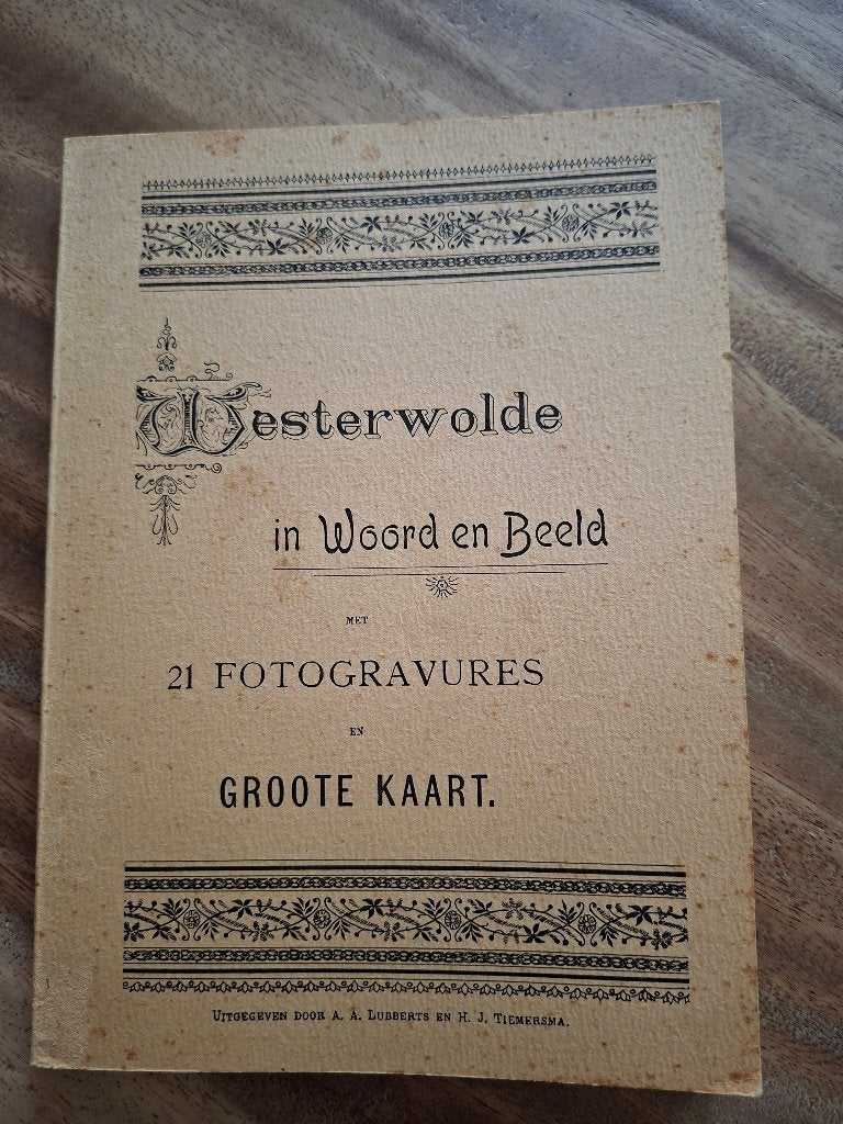 Westerwolde in woord en beeld, Gelezen, 19e eeuw, A.A. Lubberts en H.J. Tiemersma, Ophalen of Verzenden