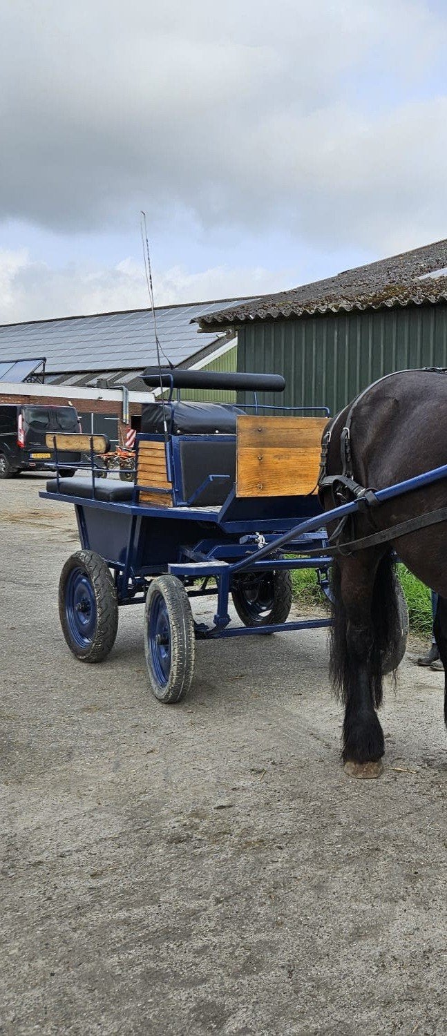 keurige menwagen met rem, Overige typen