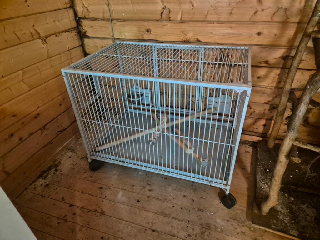 Vogel / papegaaien kooi, Dieren en Toebehoren, Ophalen, Zo goed als nieuw, Metaal, Vogelkooi