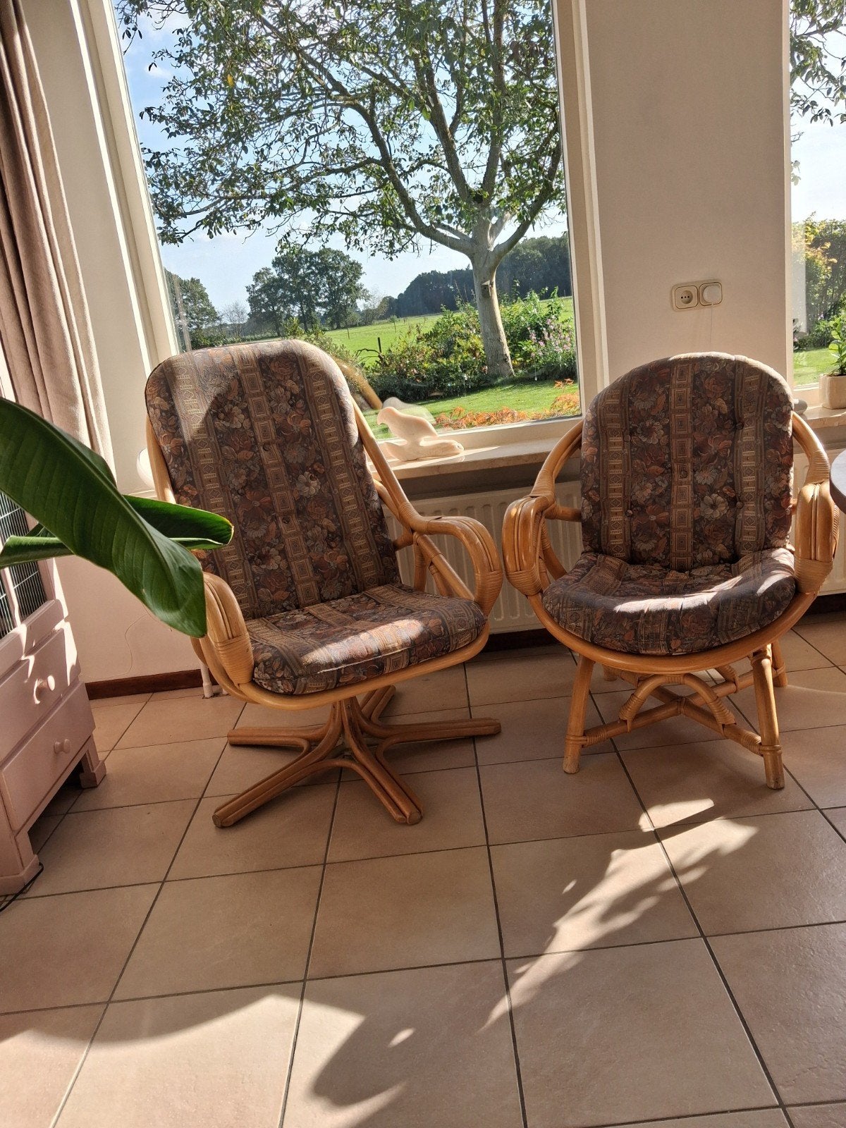 Rotan fauteuils: draaifauteuil en gewone fauteuil, Ophalen, Gebruikt, 50 tot 75 cm, Riet of Rotan