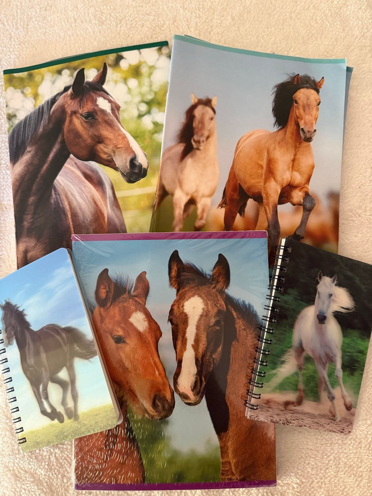 13 nieuwe paardenschriften, Ophalen of Verzenden, Nieuw