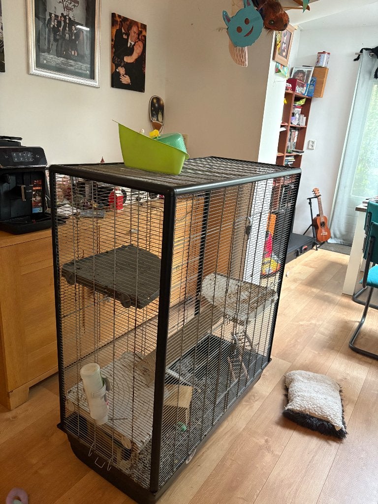 Ratten/knaagdieren kooi, Ophalen, Kooi, Gebruikt, 90 cm of meer