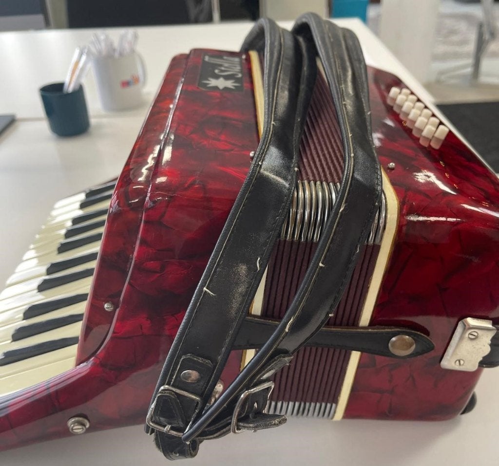 Stella accordeon 12 bassen, 2 octaven, Overige merken, Gebruikt, Overige formaten, Met koffer