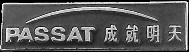 Volkswagen Passat China pin, Verzenden, Nieuw, Transport, Speldje of Pin
