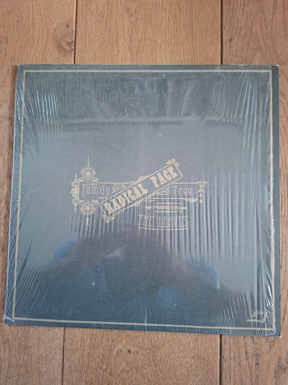 Radical Face - The Family Tree (The Leaves) LP, Cd's en Dvd's, LP, Geseald, Ophalen of Verzenden, Zo goed als nieuw