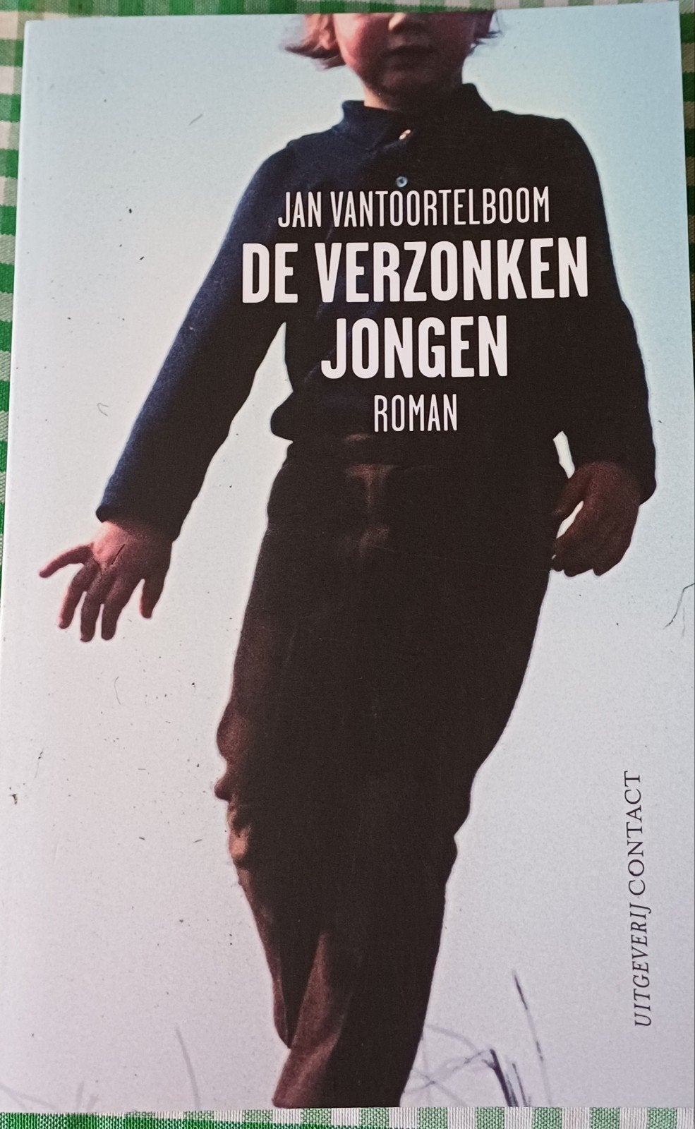 De Verzonken Jongen - Jan Vantoortelboom, Ophalen of Verzenden, Zo goed als nieuw, Jan Vantoortelboom, Nederland