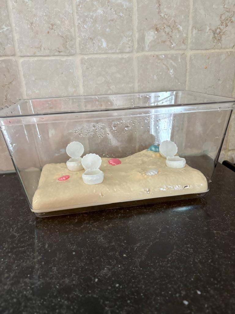 Waterbak met Schildpad met Baby's, Ophalen, Gebruikt, Jongen of Meisje