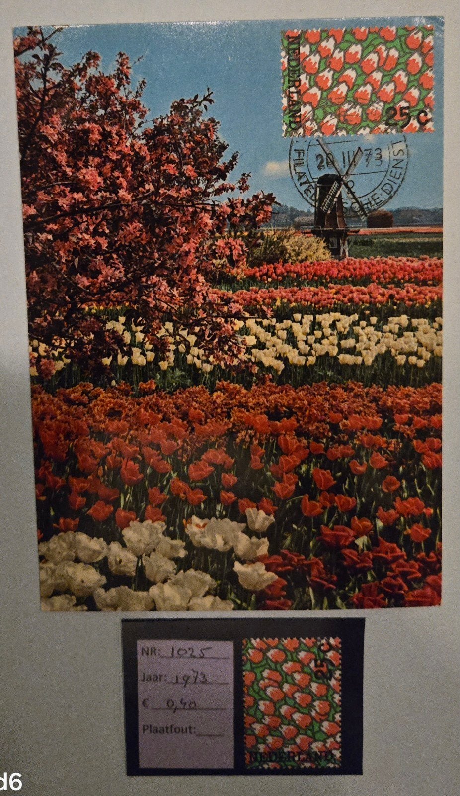 Ansichtkaart Tulpenveld met Molen - Gelopen 1973, Ophalen of Verzenden, 1960 tot 1980, Gelopen