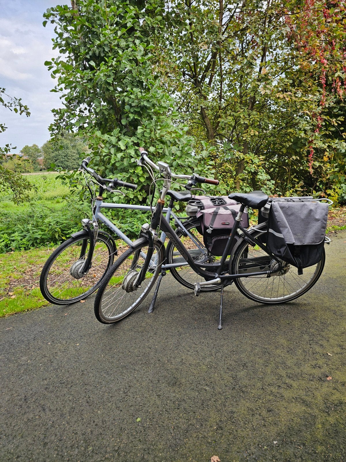 Elektrische batavus fiets 2 stuks, Fietsen en Brommers, 51 tot 55 cm, Ophalen, Gebruikt, Batavus