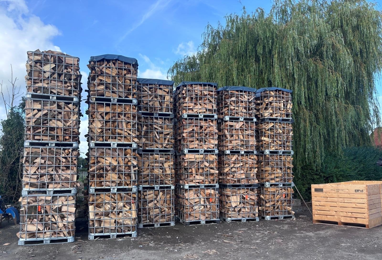 Openhaardhout, brandhout, 6 m³ of meer, Ophalen, Eikenhout, Blokken