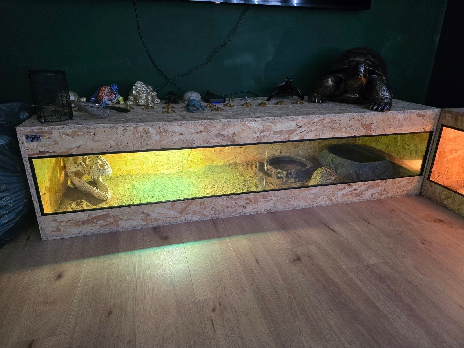 terrarium met panterschildpad, Dieren en Toebehoren, Ophalen of Verzenden