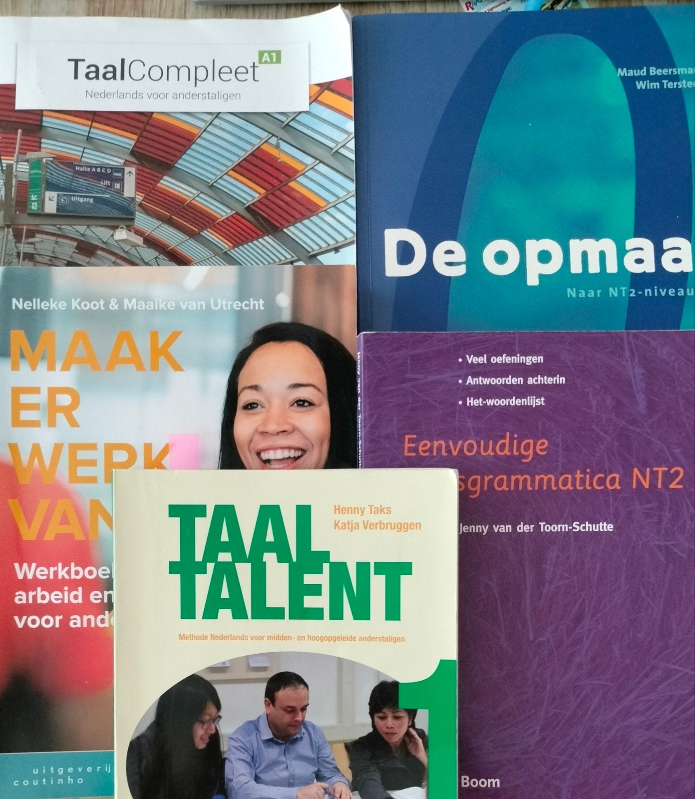 Nederlandse Taalboeken - Diverse Niveaus en Onderwerpen, Boeken, Taal | Overige Talen, Non-fictie, Nederlands, Diverse auteurs