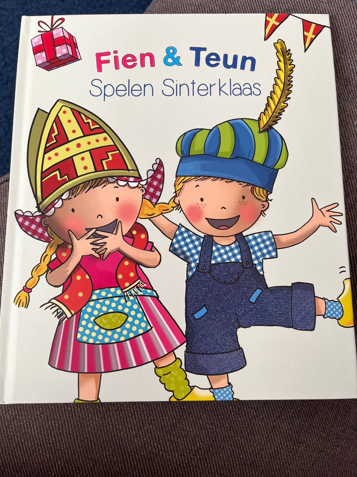 Boek Fien & Teun spelen Sinterklaas, Ophalen of Verzenden, Nieuw