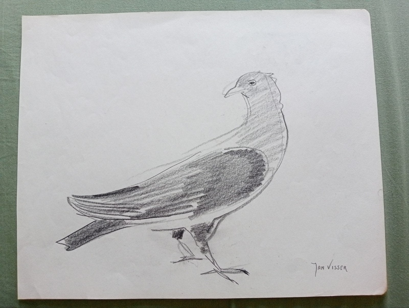 Jan Visser tekening Duif jaren 40-50, Antiek en Kunst, Kunst | Tekeningen en Foto's, Ophalen of Verzenden