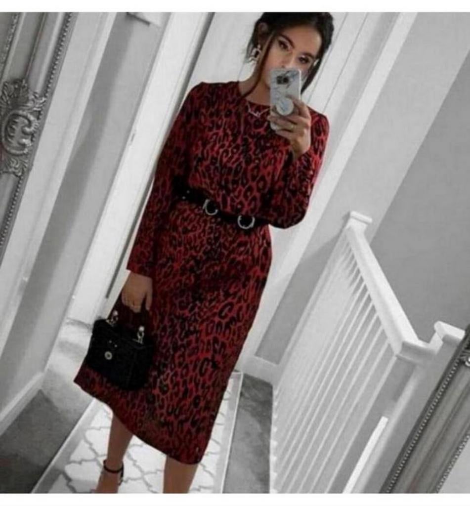 Zara gevlekte rode jurk dierenprint luipaard print Nieuw XL, Maat 46/48 (XL) of groter, Nieuw, Ophalen of Verzenden, H