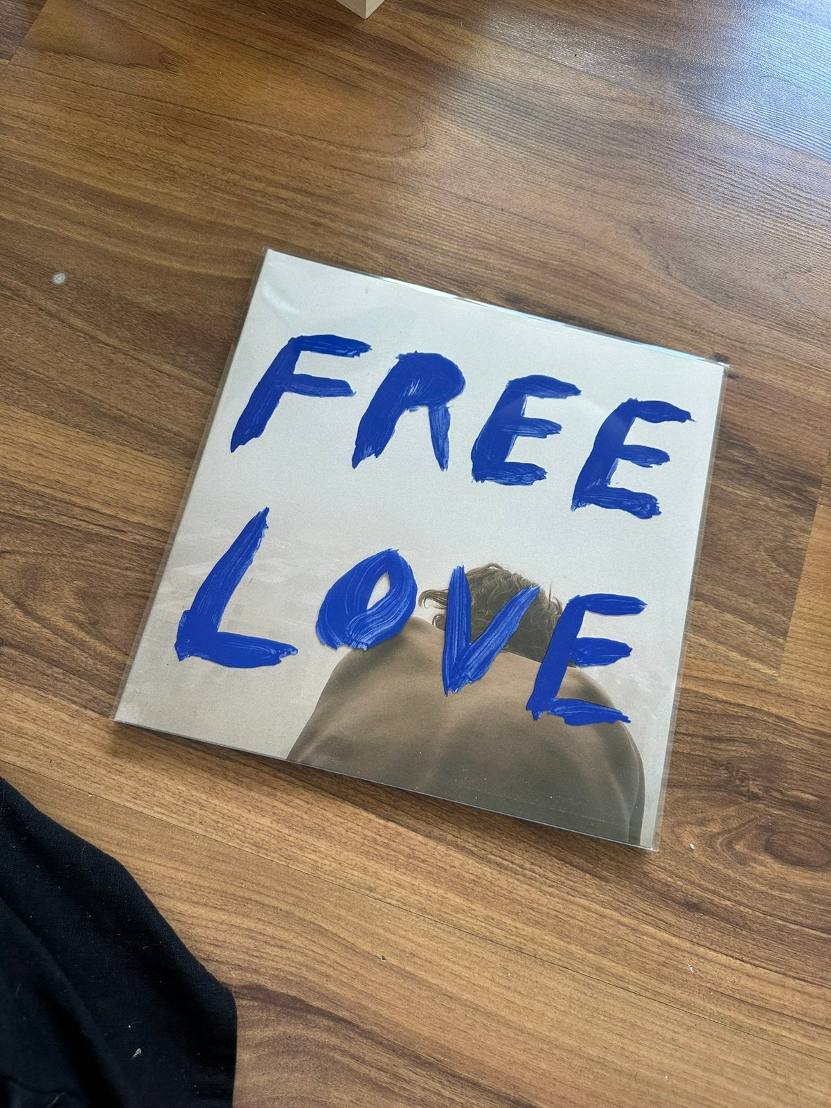 Free Love van Sylvan Esso LP, LP, Pop, Ophalen of Verzenden, Zo goed als nieuw