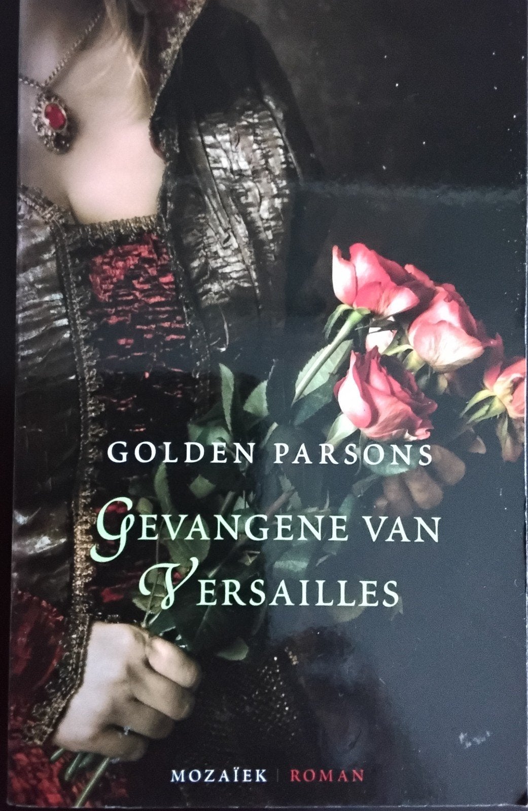 Gevangene van Versailles - Golden Parsons, Ophalen of Verzenden, Zo goed als nieuw, Golden Parsons, Amerika