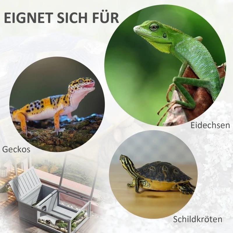 Terrarium reptielenverblijf nieuw gekko baardagaam kameleon, Ophalen of Verzenden, Nieuw
