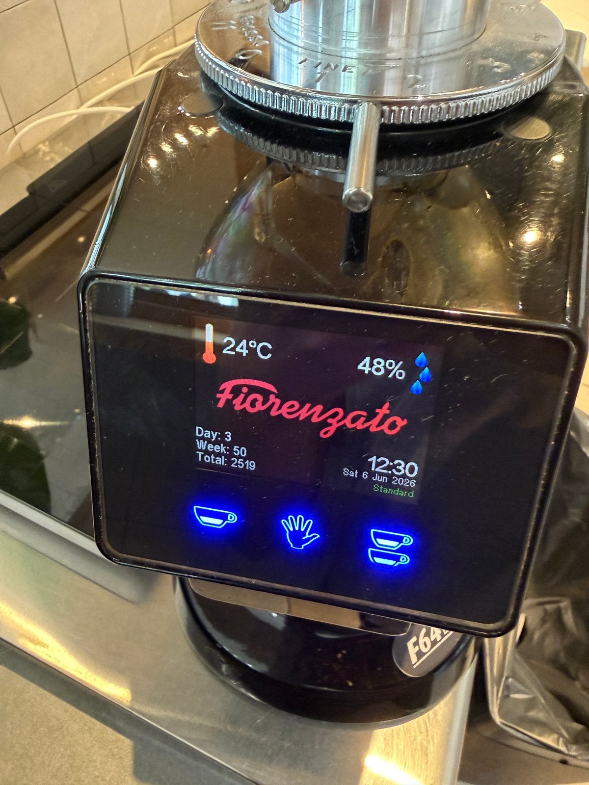 Fiorenzato F64 EVO Koffiemolen, Ophalen, Gebruikt