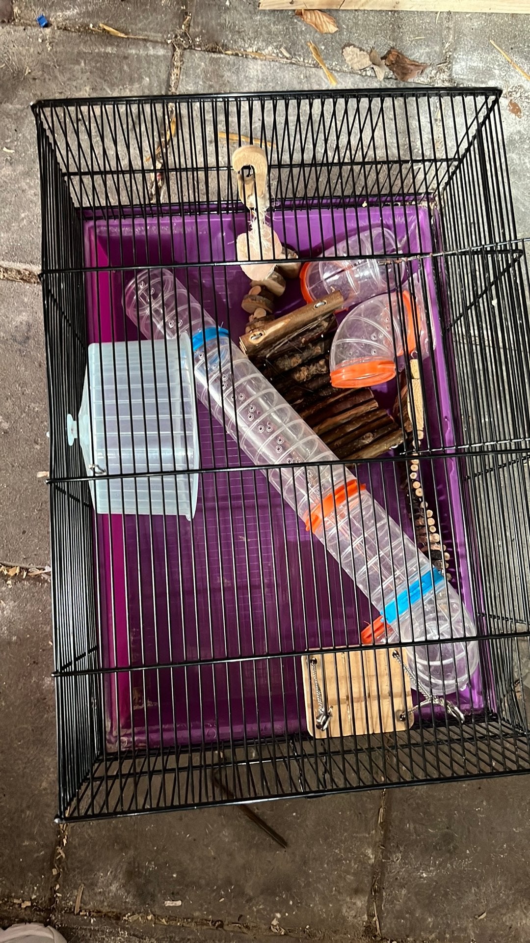Hamsterkooi, Kooi, Minder dan 75 cm, Zo goed als nieuw, Muis