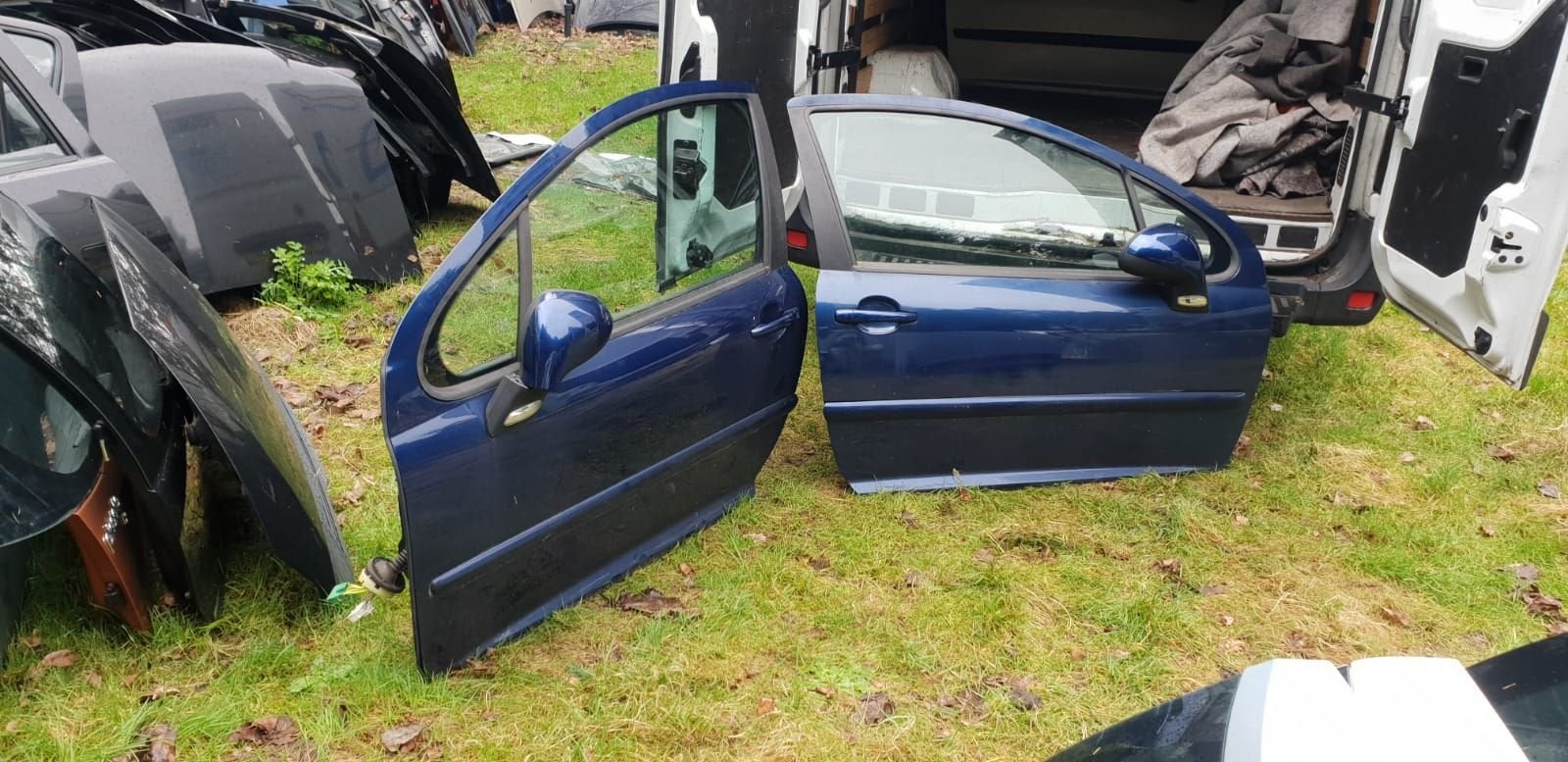 PEUGEOT 207 PORTIEREN BJ 2005 TOT 2010, Gebruikt, -, Deur, -