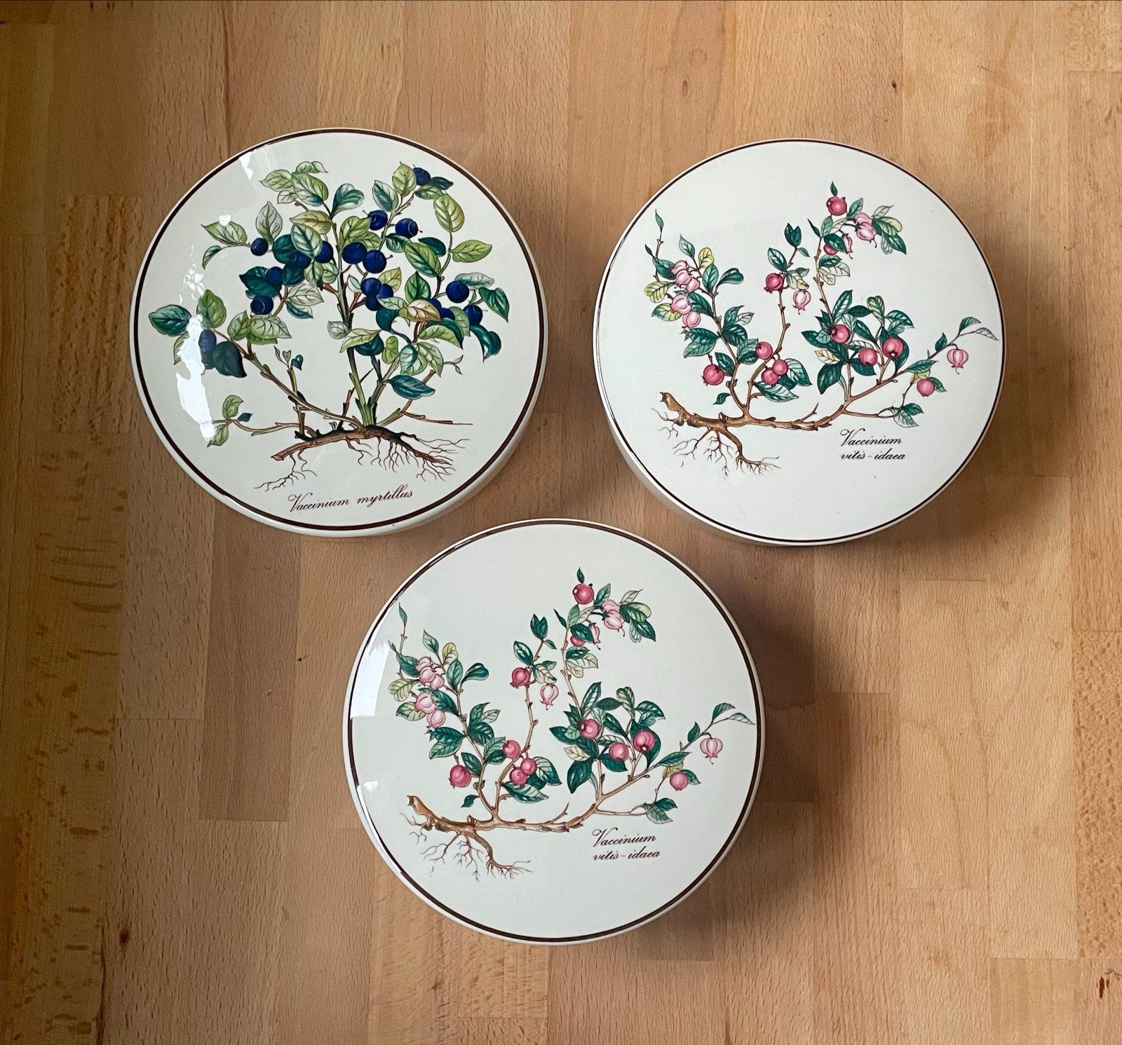 Villeroy & Boch Botanica voorraadpotten set van 3, Ophalen of Verzenden