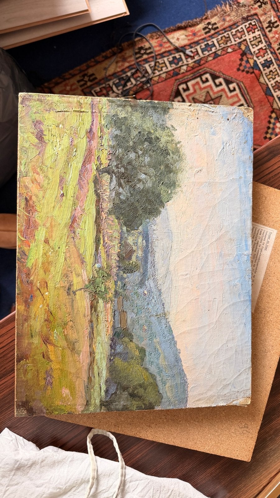 Twee Friese landschappen, Broer de Boer, Antiek en Kunst, Kunst | Schilderijen | Klassiek, Ophalen, Paneel, Impressionistisch