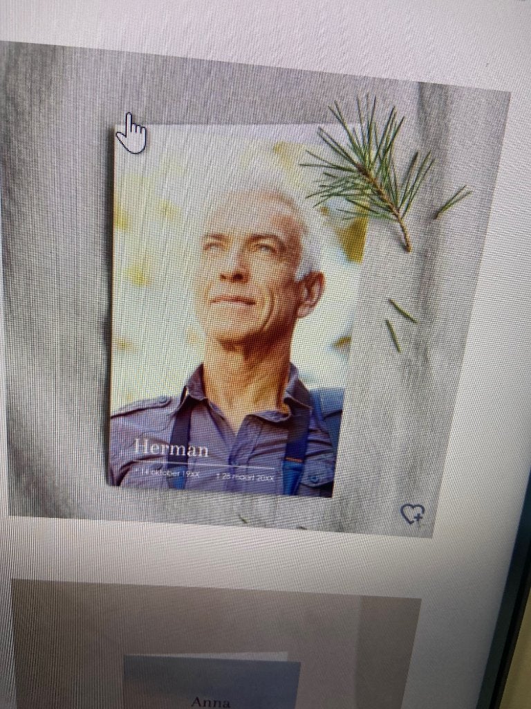 LIVE-4-EVER, Ophalen of Verzenden, Nieuw, Zie beschrijving