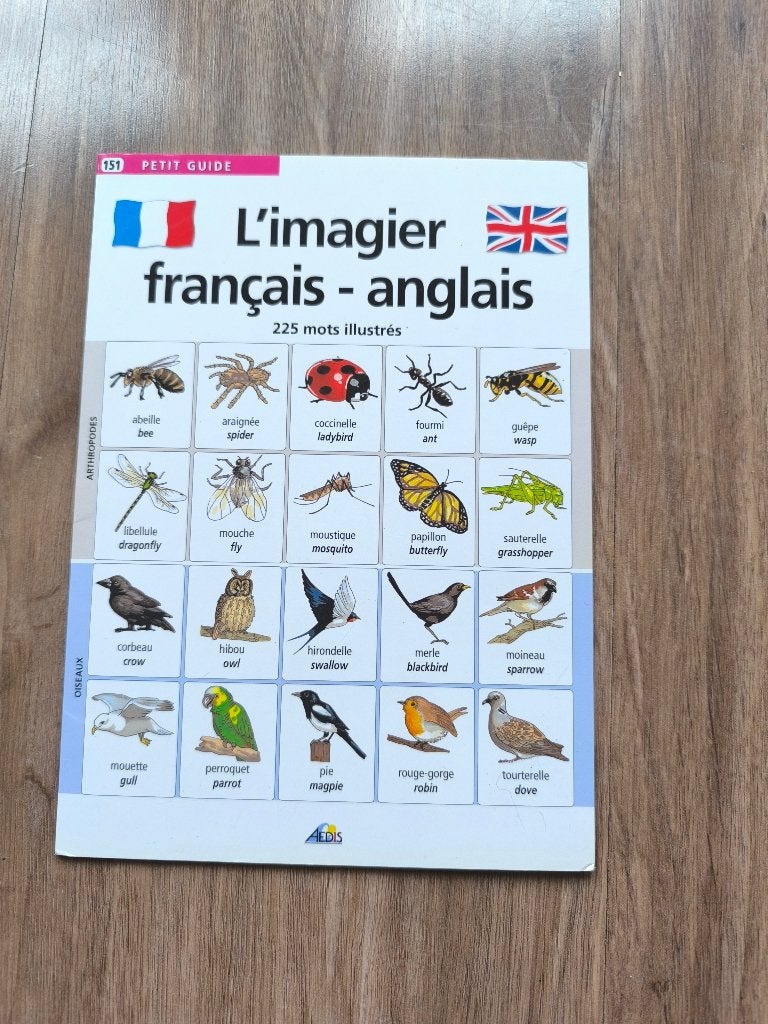 Frans-Engels Prentenboek: Insecten & Vogels, Ophalen of Verzenden, Zo goed als nieuw