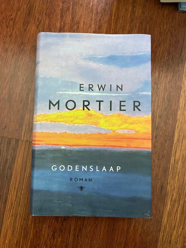 Erwin Mortier - Godenslaap, Ophalen of Verzenden, Zo goed als nieuw, Erwin Mortier