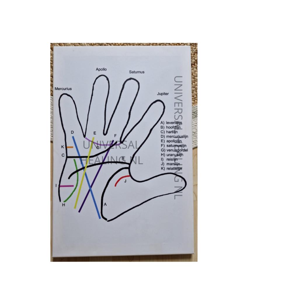 Handlezen / handlijnkunde lijnen canvas, Boeken, Ophalen, Achtergrond en Informatie, Zo goed als nieuw, Overige onderwerpen