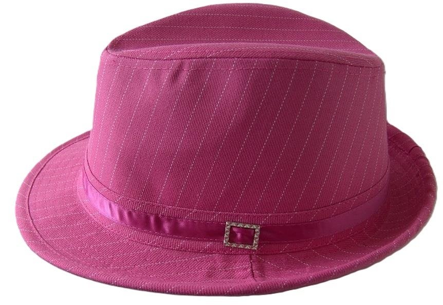 HOED FUCHSIA KRIJTSTREEP 2 stuks KWALITEIT STOER/FEEST/PARTY, -, Hoed, -, Nieuw