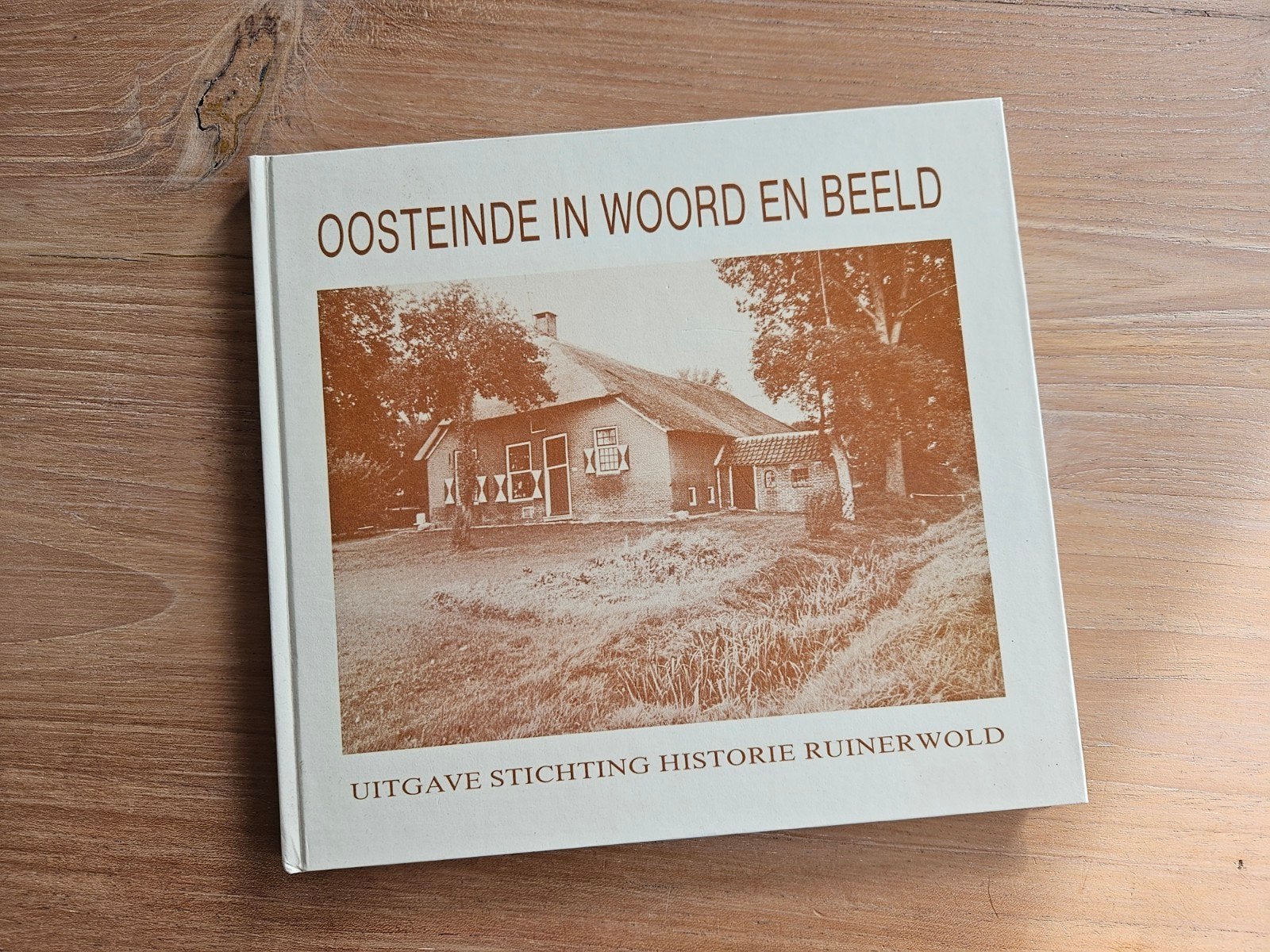 Oosteinde in woord en beeld, Boeken, Geschiedenis | Stad en Regio, Ophalen of Verzenden, Gelezen