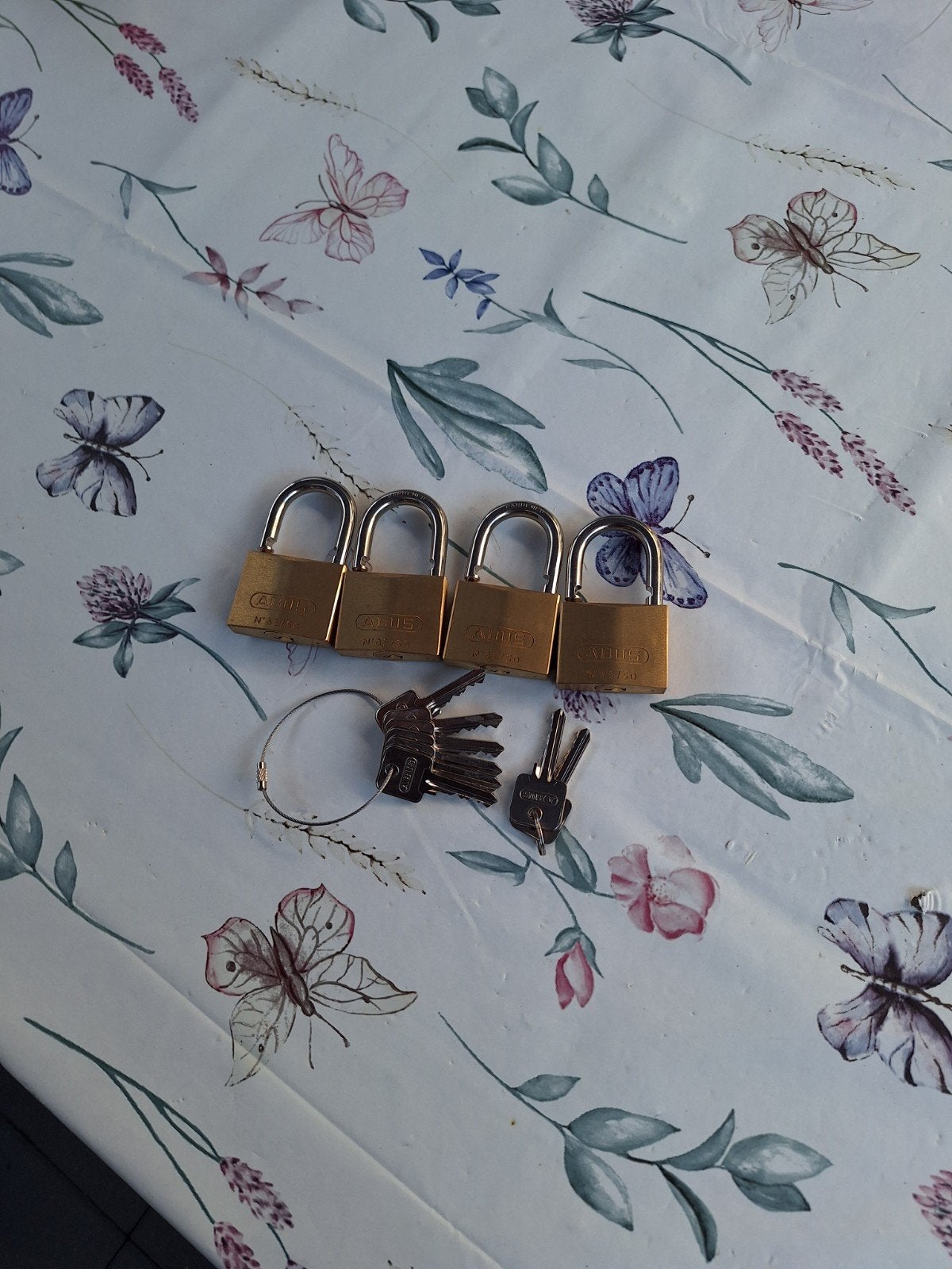 Hangsloten, Ophalen of Verzenden, Nieuw, Slot
