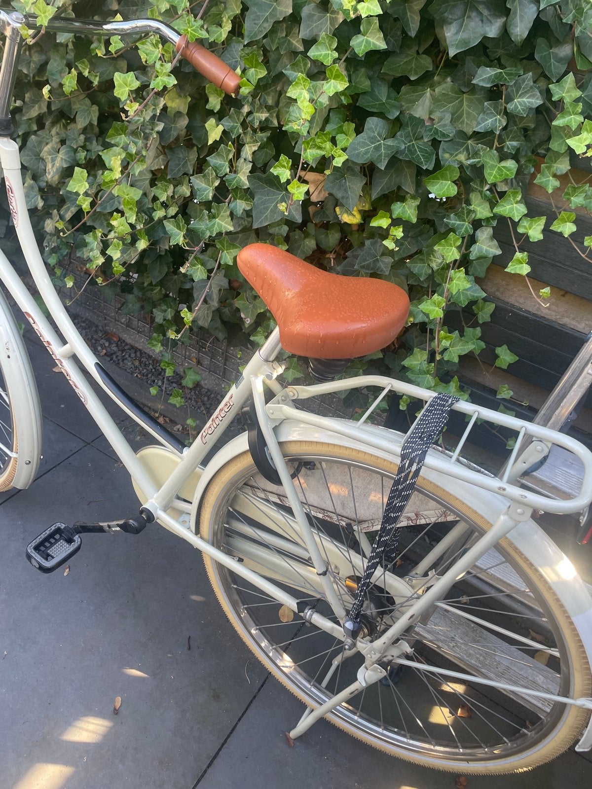 Pointer damesfiets met lage instap, Fietsen en Brommers, Terugtraprem, Ophalen, Overige merken, 53 tot 56 cm