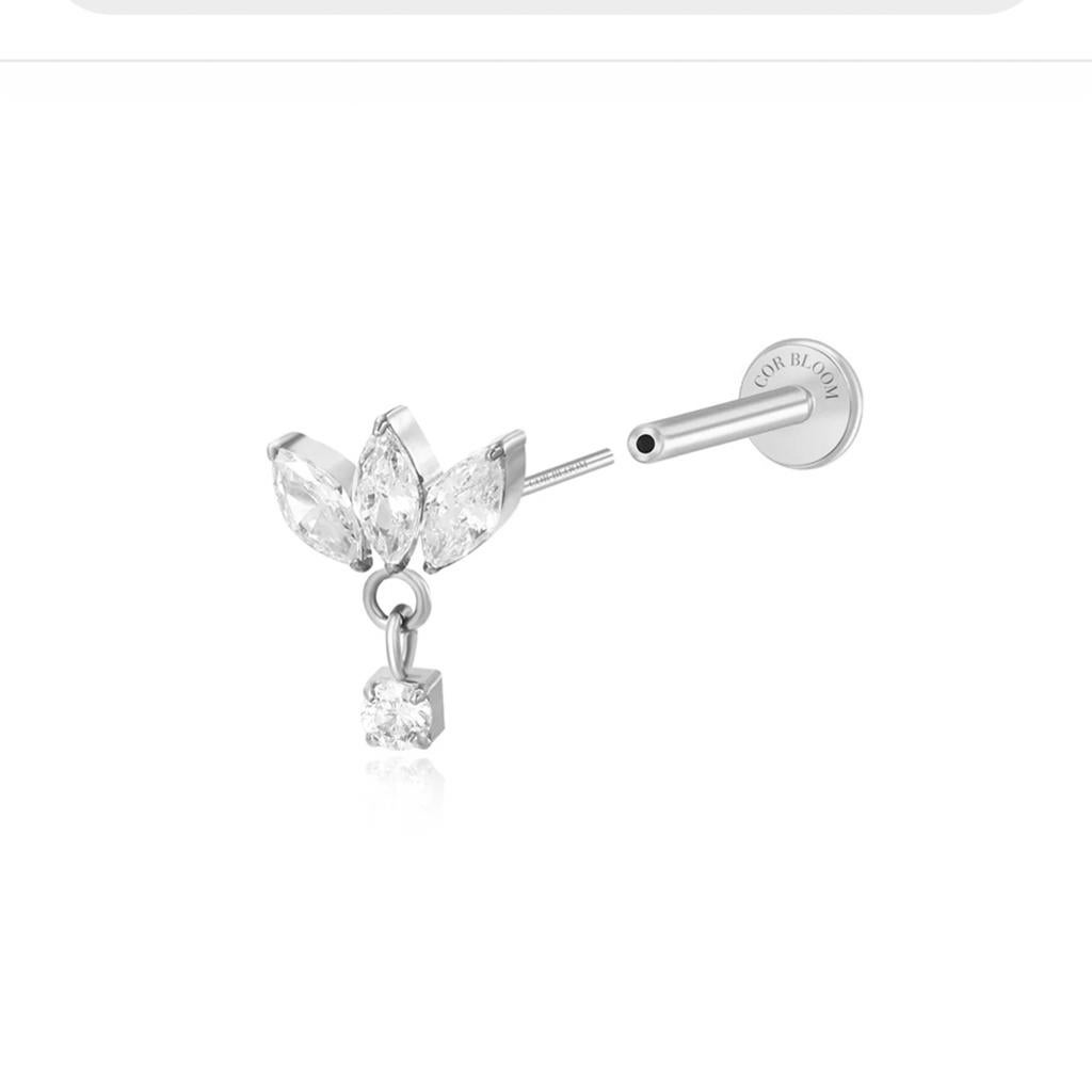 Oorbel Titanium Zilverkleurig met Zirkonia, Sieraden, Tassen en Uiterlijk, Oorbellen, Met kristal, Overige materialen, Nieuw, Ophalen of Verzenden