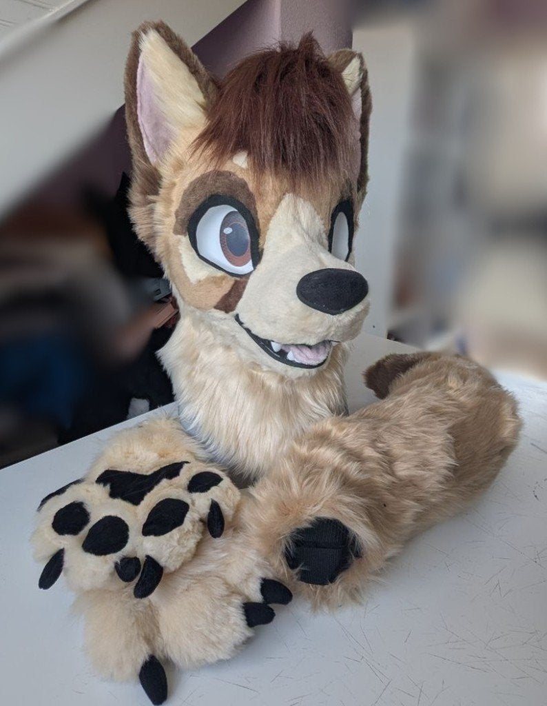 Gloednieuwe fennec fursuit partial, Ophalen of Verzenden, Nieuw, Overige typen