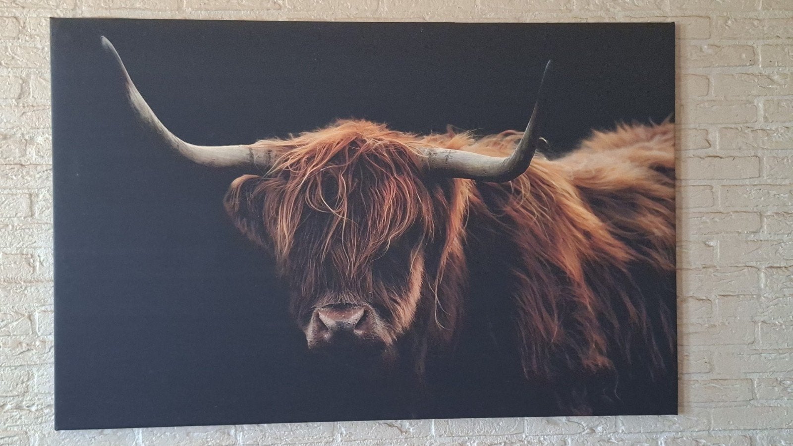 Groot Schilderij Schotse Hooglander - Canvas, Ophalen, Zo goed als nieuw, Schilderij, 100 tot 125 cm