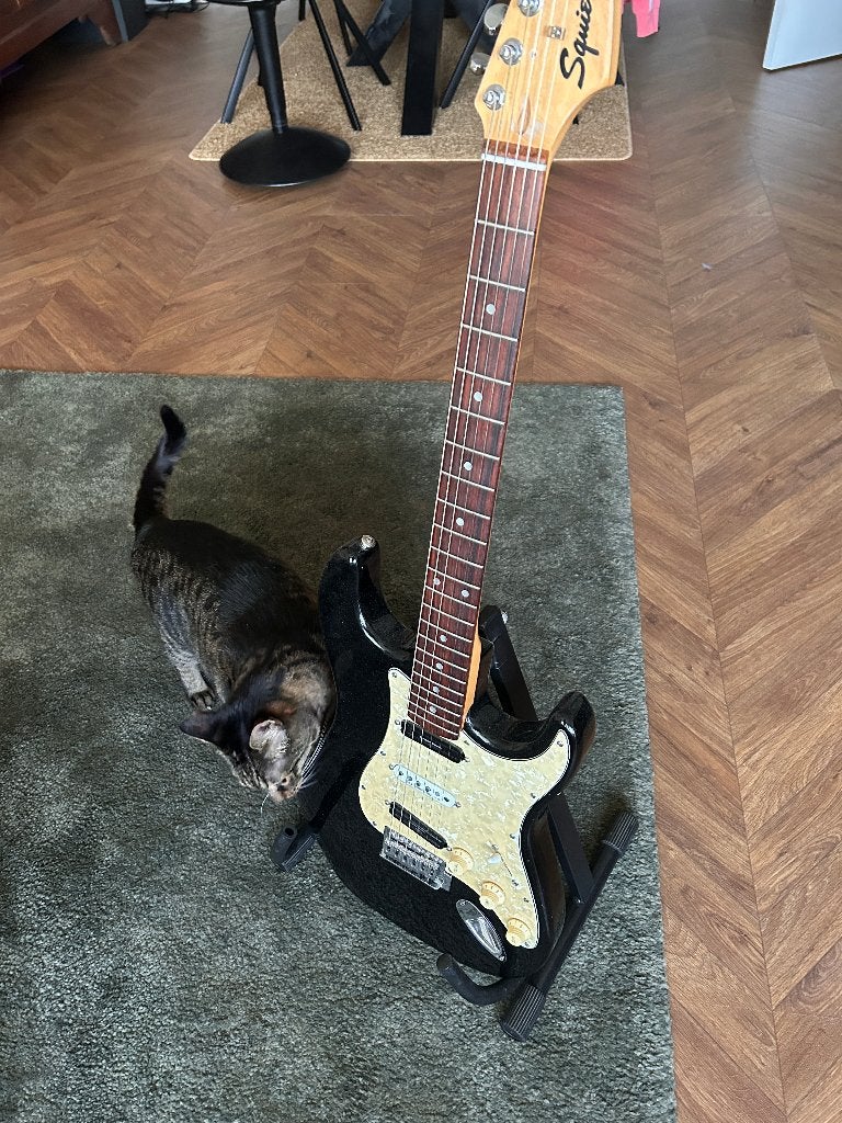 Gitaren collectie, liefst in een koop!, Muziek en Instrumenten, Snaarinstrumenten | Gitaren | Elektrisch, Ophalen, Gebruikt, Solid body