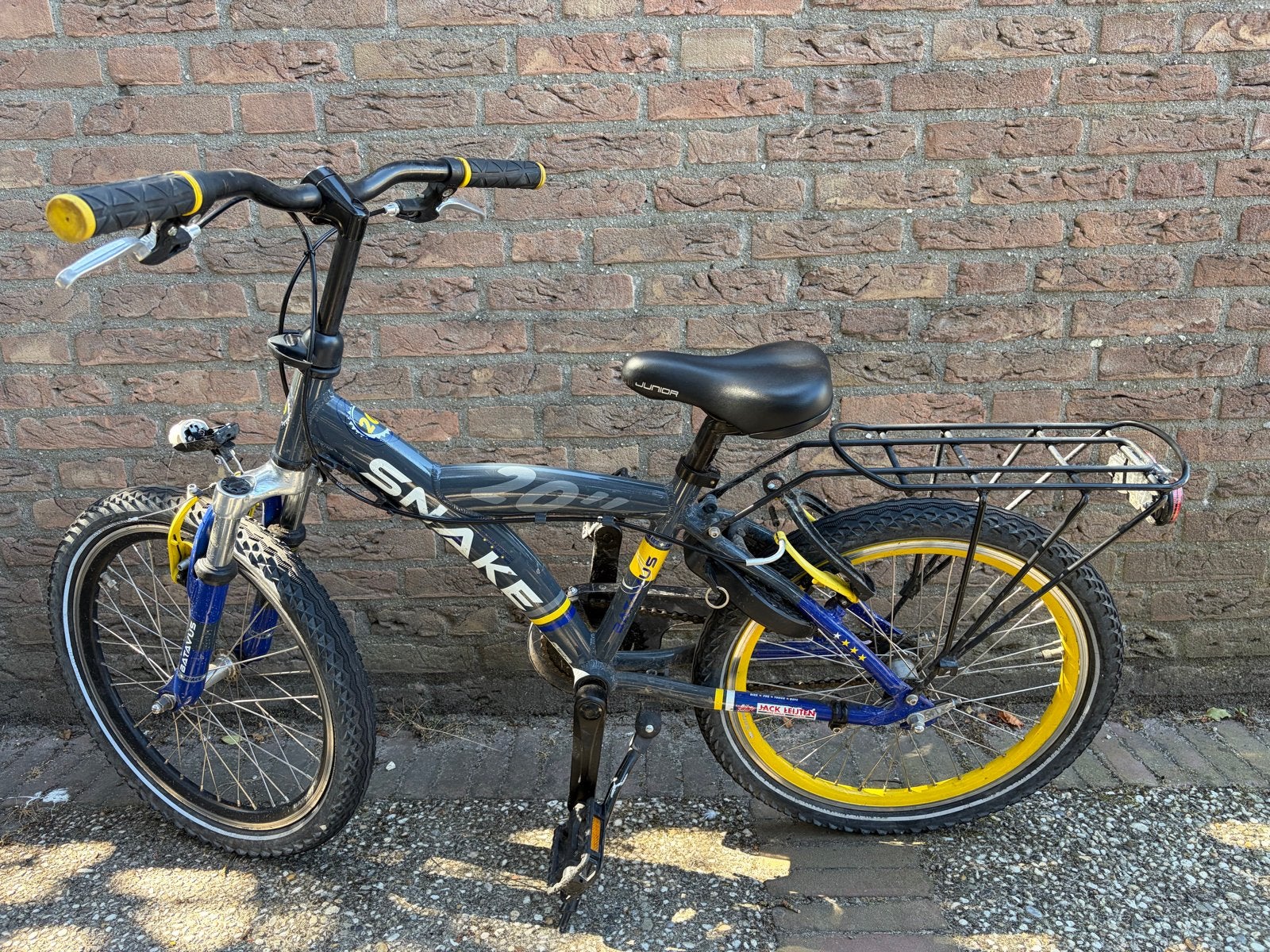 Batavus Snake 20 inch kinderfiets, Ophalen, Gebruikt, Terugtraprem, 20 inch of meer