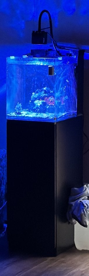 Blue marine 60L, Dieren en Toebehoren, Ophalen, Zo goed als nieuw, Leeg aquarium