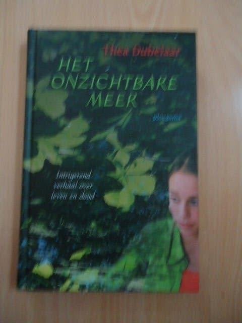 Het onzichtbare meer, Thea Dubelaar, Ophalen of Verzenden, Zo goed als nieuw