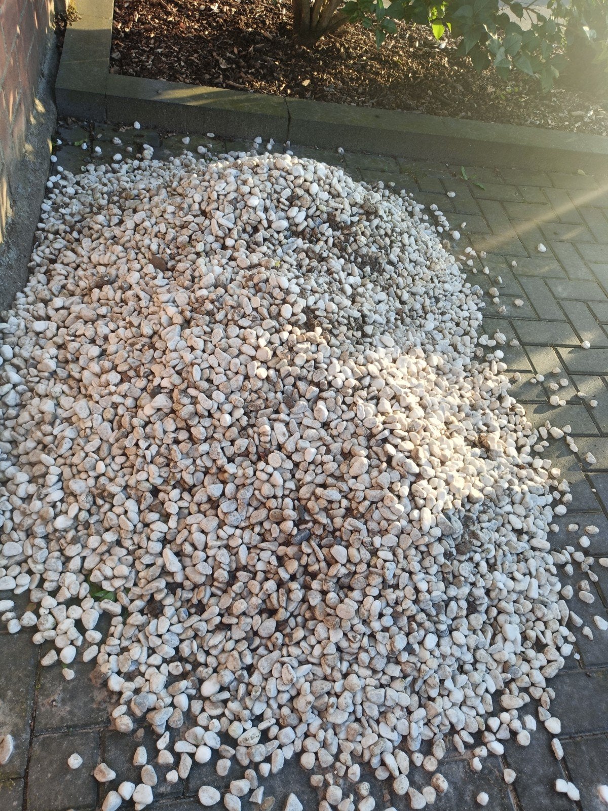 Gratis Wit grind voor tuin, Ophalen, Gebruikt, Wit, Grind