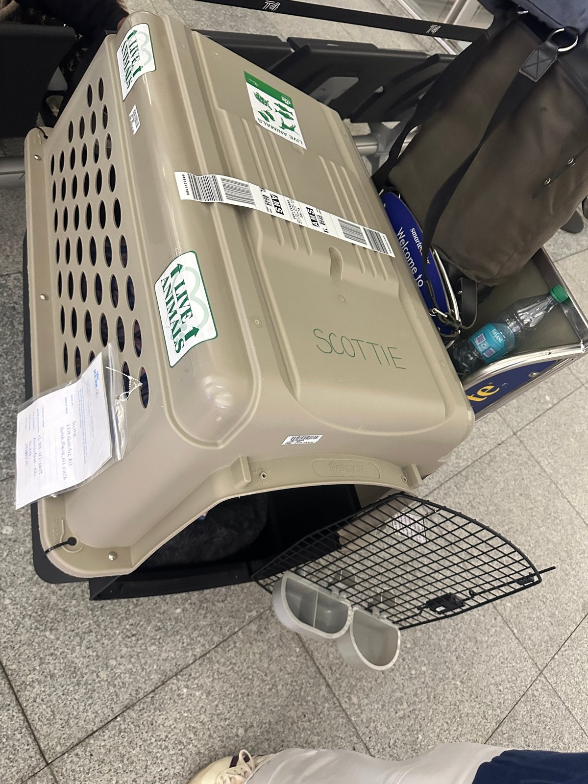 Dog Travel Crate | Reisbench/Autobench/ Transportkooi hond, Dieren en Toebehoren, Transportboxen, Ophalen, Gebruikt