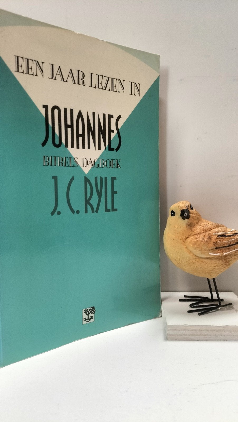 Ryle, J.C.; Een jaar lezen in Johannes (Bijbels dagboek, Ophalen of Verzenden, Gelezen, Christendom | Protestants