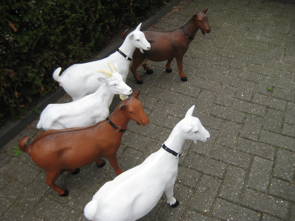 nieuwe beelden geiten en bokjes, Tuin en Terras, Tuinbeelden, Ophalen, Nieuw, Kunststof, Dierenbeeld