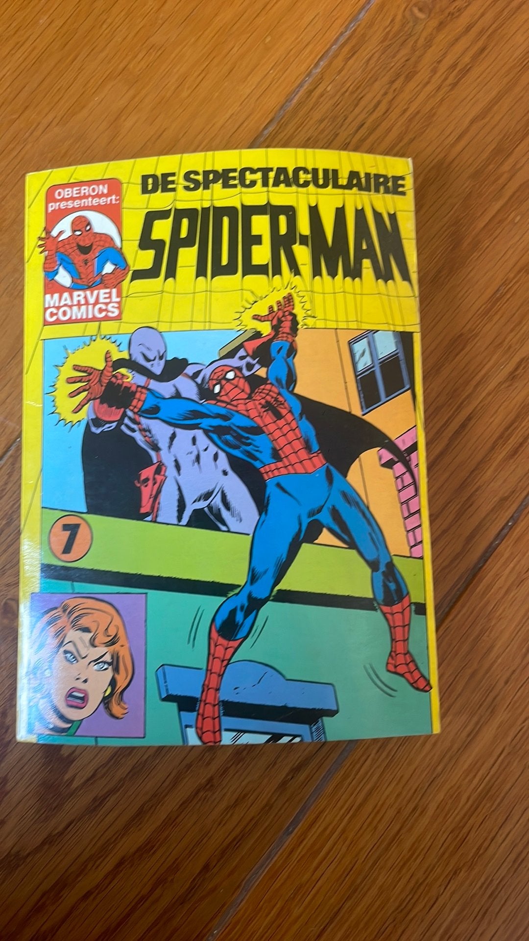 Spiderman boek, Boeken, Europa, Ophalen of Verzenden, Gelezen, Eén comic