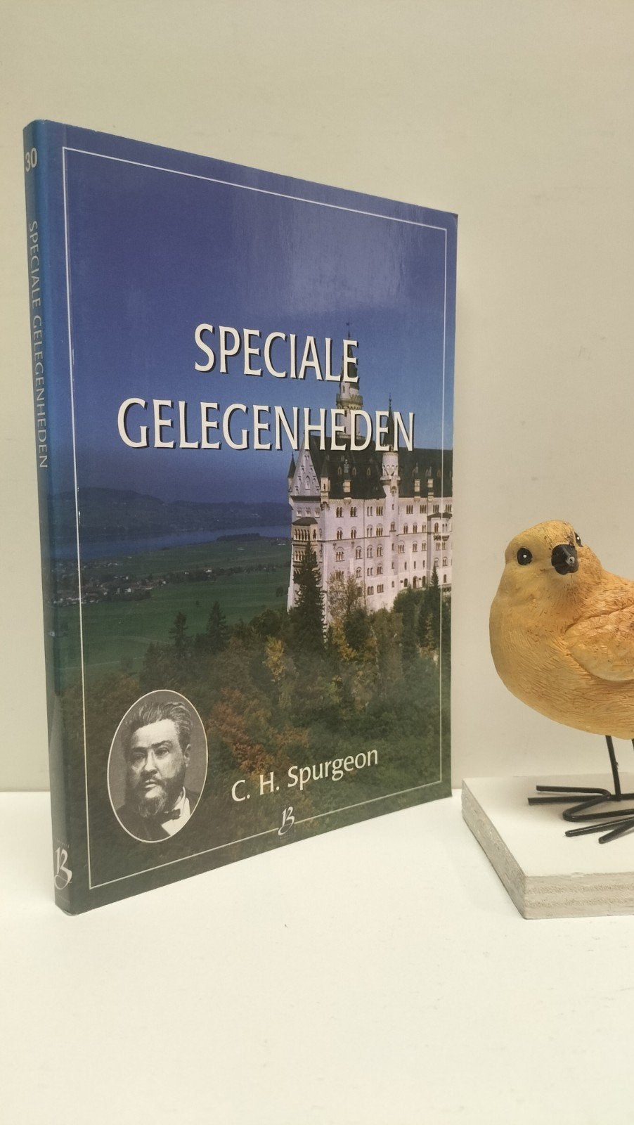 Spurgeon, C.H.; Speciale gelegenheden (Boekhoutserie nr 30), Ophalen of Verzenden, Gelezen, Christendom | Protestants