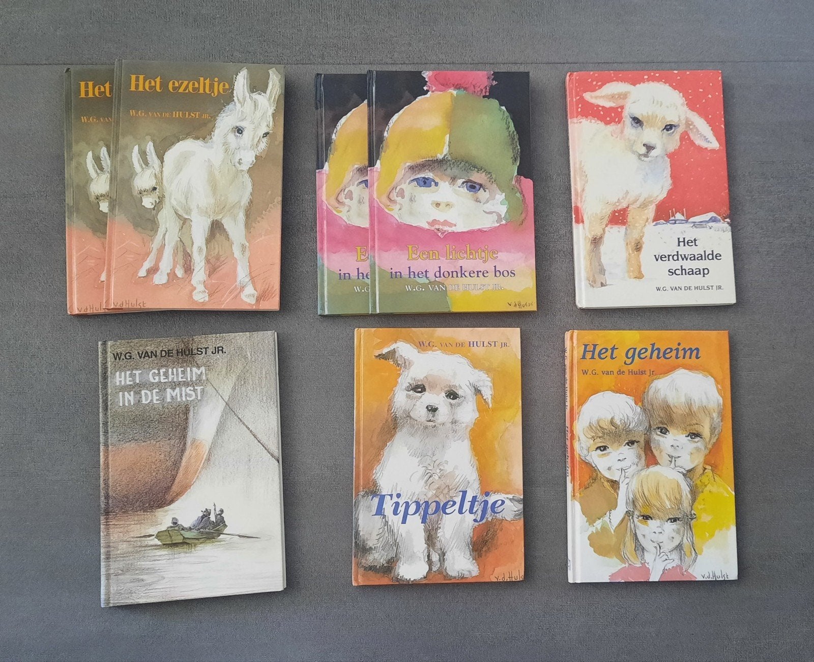 6 boeken van W.G. van de Hulst jr. – Uitgeverij Den Hertog, Ophalen of Verzenden, Gelezen, W.G. van de Hulst Jr.